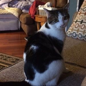 Meet your Posher, Hollie